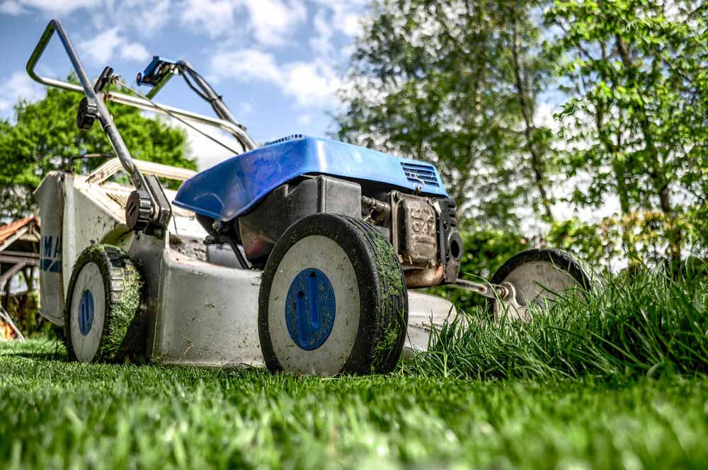 Lawnmower cutting a lush green lawn