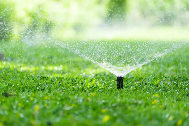 Automatic sprinkler watering a lawn