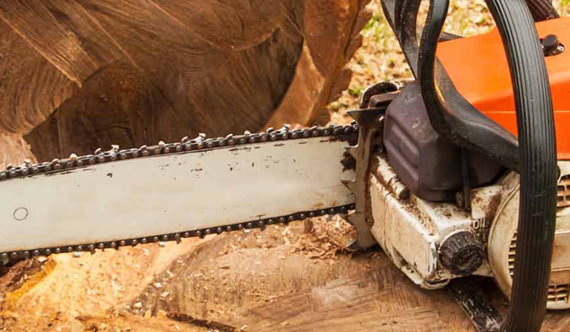 Chainsaw cutting through a tree trunk